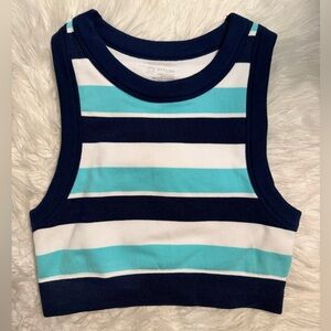 Offline By Aerie Striped Blue and White Crop Top